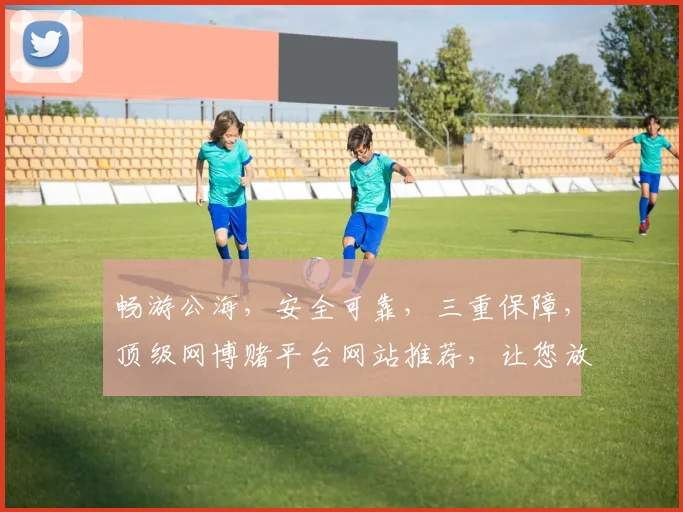 畅游公海，安全可靠，三重保障，顶级网博赌平台网站推荐，让您放心体验