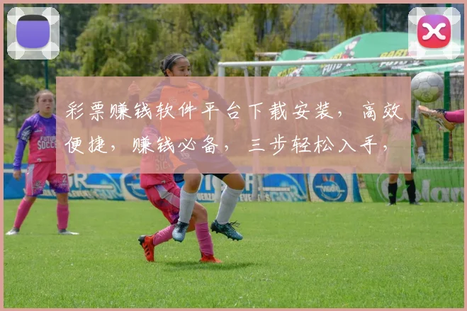 彩票赚钱软件平台下载安装，高效便捷，赚钱必备，三步轻松入手，快来体验