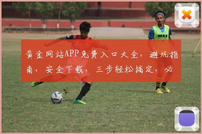 黄金网站APP免费入口大全，避坑指南，安全下载，三步轻松搞定，必看攻略